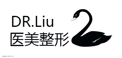 DR.Liulogo设计