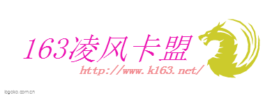 163凌风卡盟logo设计