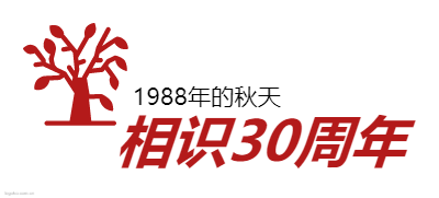 相识30周年logo设计