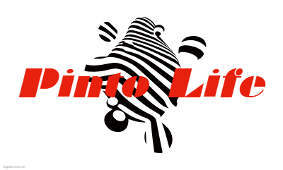 Pinto Lifelogo设计