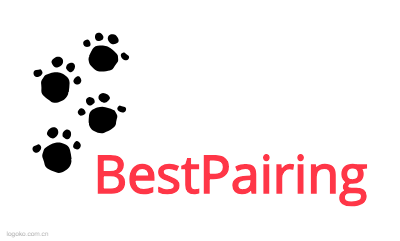 BestPairinglogo设计