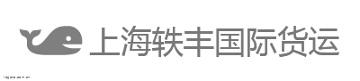 上海轶丰国际货运logo设计