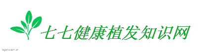 七七健康植发知识网logo设计