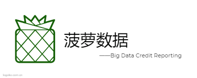 菠萝数据logo设计