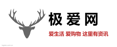 极 爱 网logo设计