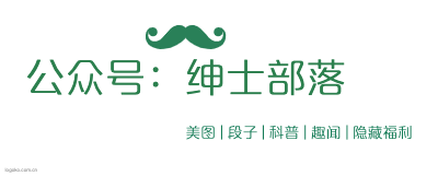 公众号：绅士部落logo设计