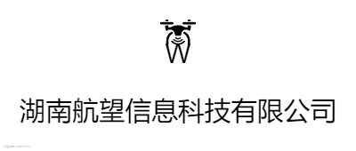 Wlogo设计