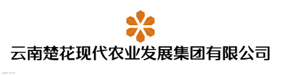 云南楚花现代农业发展集团有限公司logo设计