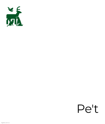 Petlogo设计