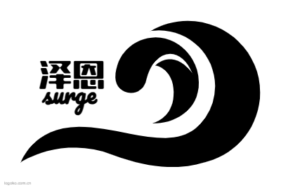 泽恩logo设计